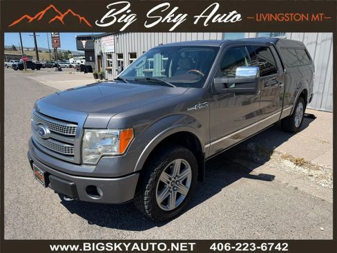 Used 2010 Ford F150 Platinum AWD/4WD image 3