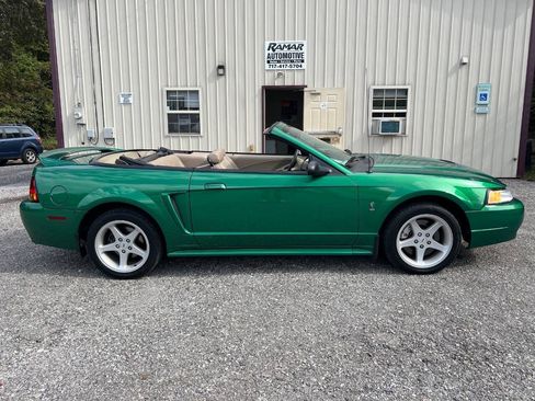 Used 1999 Ford Mustang Cobra RWD image 1