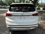 Used 2023 Hyundai Santa Fe Calligraphy image 4