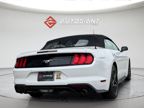 Used 2019 Ford Mustang Premium RWD image 10