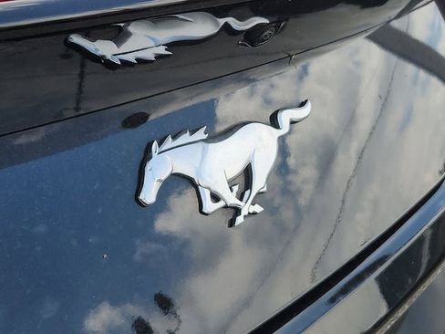 Used 2025 Ford Mustang Premium RWD image 21