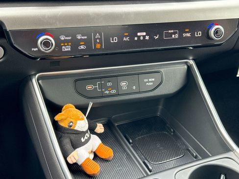 New 2025 Kia Carnival SX Prestige image 24