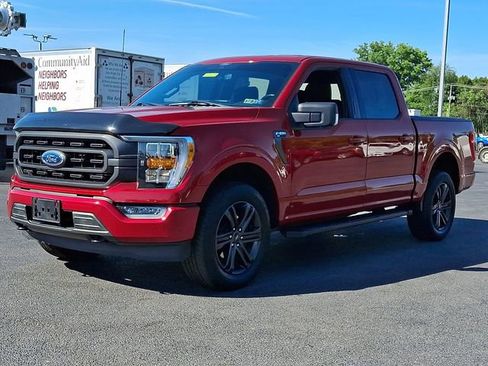 Used 2021 Ford F150 XLT w/ Equipment Group 302A High AWD/4WD image 6