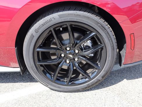 Used 2025 Ford Mustang Premium RWD image 13