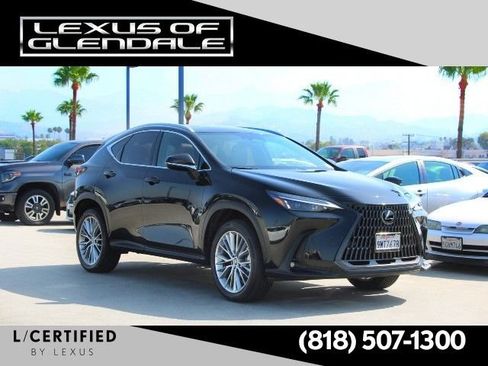 Certified 2025 Lexus NX 350h AWD w/ Cold Area Package image 1