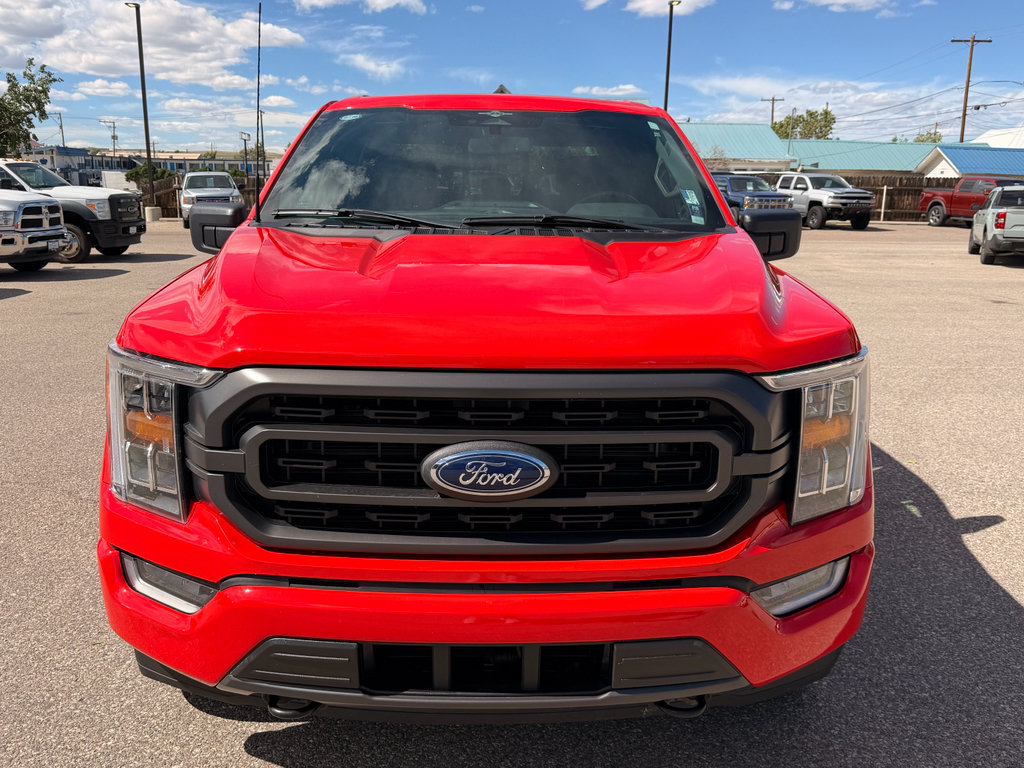 Used 2023 Ford F150 XLT w/ Equipment Group 302A High AWD/4WD image 3
