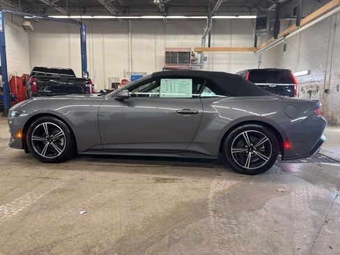 Used 2025 Ford Mustang Premium RWD image 3