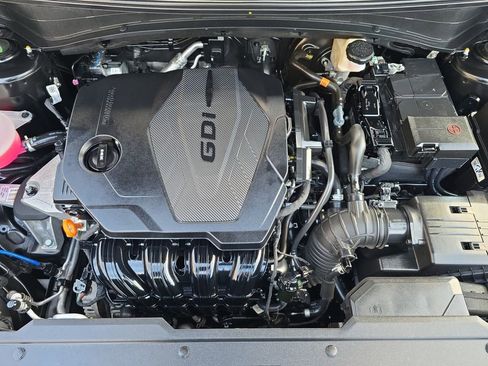 Used 2024 Kia Sportage X-Line image 14