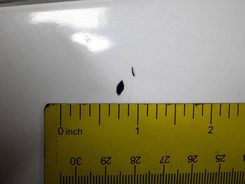 Used 2008 MAZDA RX-8 Grand Touring image 38