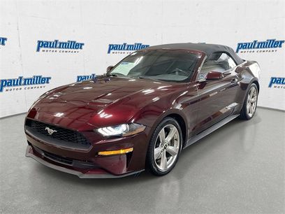 Used 2018 Ford Mustang Convertible w/ Equipment Group 101A