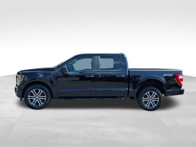 Certified 2023 Ford F150 XL w/ STX Appearance Package RWD image 8