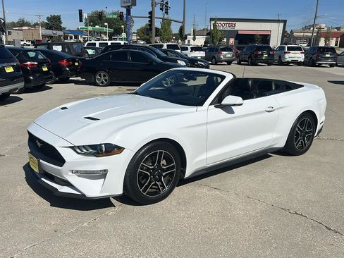 Used 2020 Ford Mustang Premium RWD image 7
