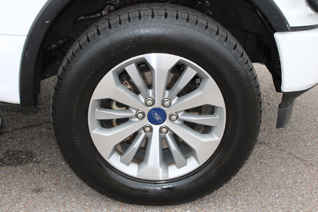 Used 2019 Ford F150 XL w/ Equipment Group 101A Mid AWD/4WD image 7