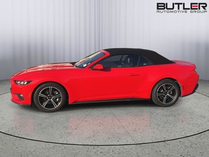 Used 2025 Ford Mustang Premium