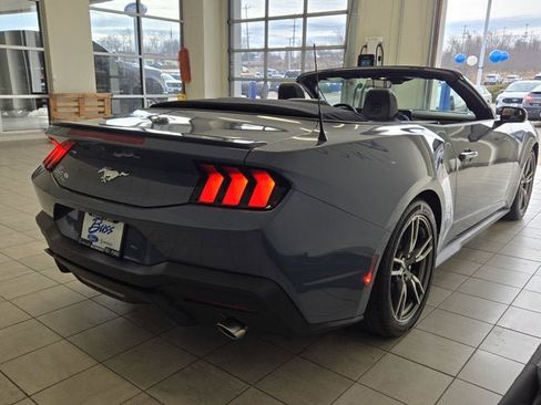 Used 2025 Ford Mustang Premium w/ Wheel & Stripe Package image 9