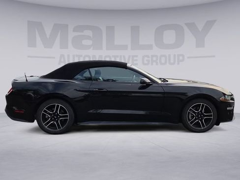Used 2023 Ford Mustang Premium RWD image 6