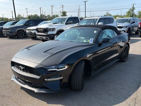 Used 2020 Ford Mustang Premium RWD image 4