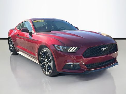 Used 2016 Ford Mustang Premium w/ Equipment Group 201A image 1