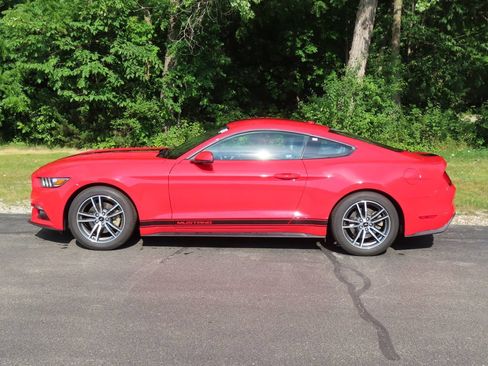 Used 2015 Ford Mustang Premium w/ Equipment Group 201A RWD image 5