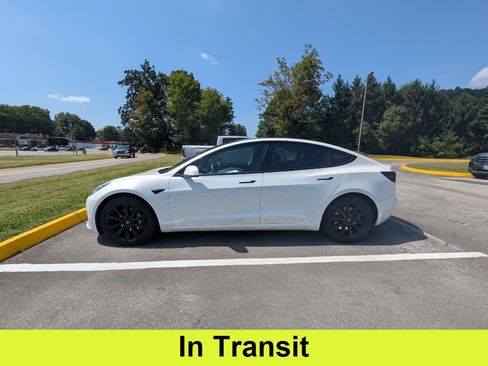 Used 2020 Tesla Model 3 Long Range AWD/4WD image 1