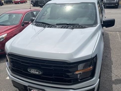 Used 2025 Ford F150 XLT w/ Equipment Group 301A Standard AWD/4WD image 10