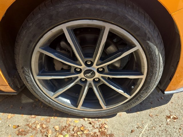 Used 2019 Ford Mustang Premium w/ Equipment Group 201A RWD image 4