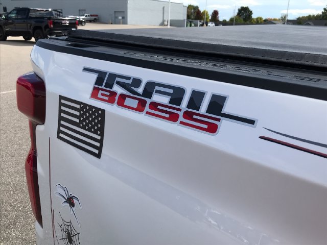 Used 2019 Chevrolet Silverado 1500 LT Trail Boss AWD/4WD image 33