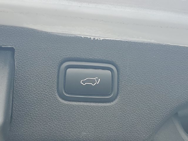 Used 2019 Kia Sorento AWD image 8