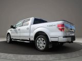 Used 2010 Ford F150 Platinum image 5