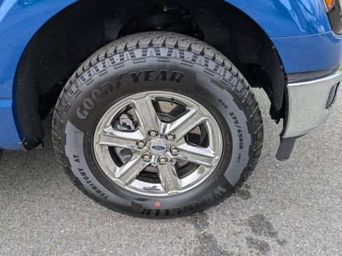 Used 2025 Ford F150 XLT w/ Equipment Group 301A Standard image 12