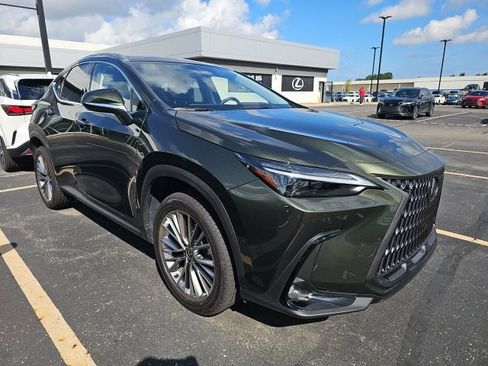 Used 2025 Lexus NX 350h AWD w/ Cold Area Package image 2