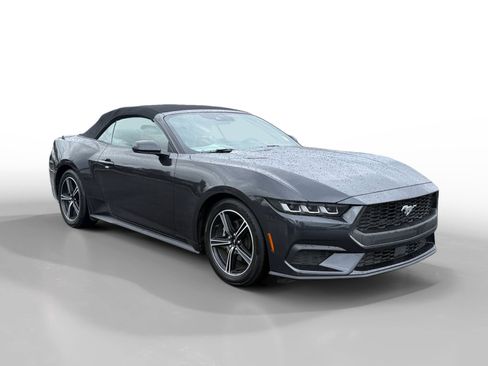 Used 2024 Ford Mustang Premium image 7