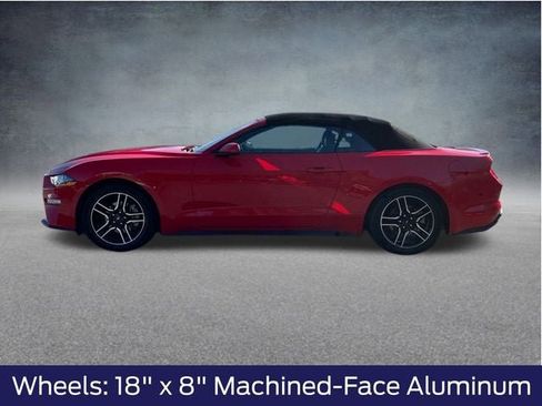 Used 2023 Ford Mustang Premium image 7