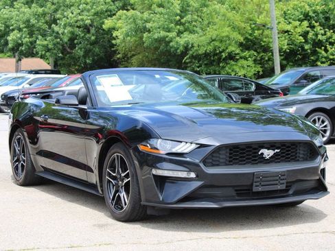 Used 2020 Ford Mustang Premium RWD image 1