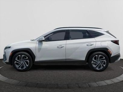 New 2026 Hyundai Tucson Limited