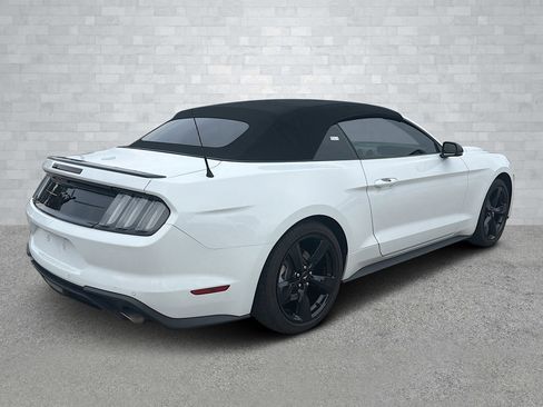 Used 2023 Ford Mustang Premium w/ Equipment Group 201A image 4
