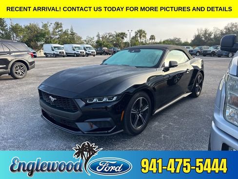 Used 2024 Ford Mustang Premium image 1