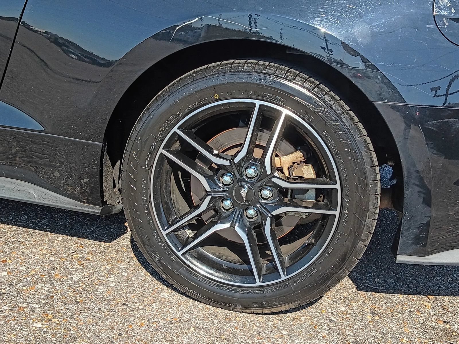 Used 2021 Ford Mustang GT RWD image 18