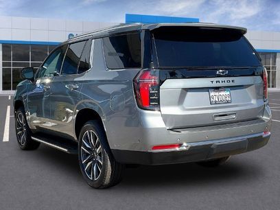Used 2026 Chevrolet Tahoe LS w/ LS Custom Edition