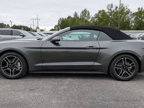 Used 2020 Ford Mustang Premium w/ Equipment Group 201A RWD image 6