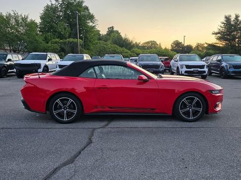 Used 2024 Ford Mustang Premium RWD image 9