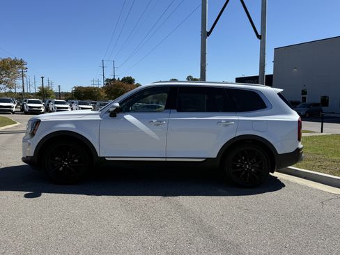 Used 2020 Kia Telluride SX w/ SX Prestige Package image 2