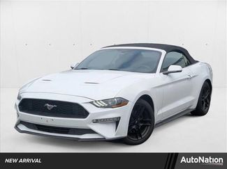 Used 2020 Ford Mustang Premium image 1