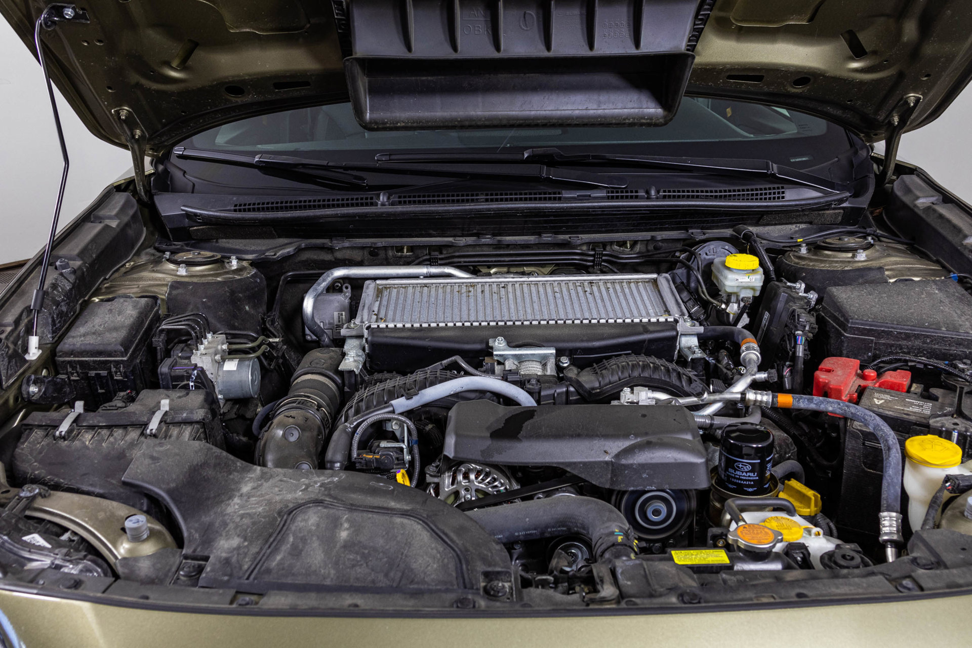 Used 2024 Subaru Outback Wilderness AWD/4WD image 52