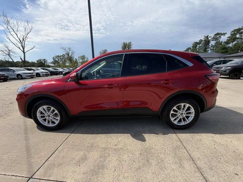Used 2020 Ford Escape SE AWD/4WD image 5