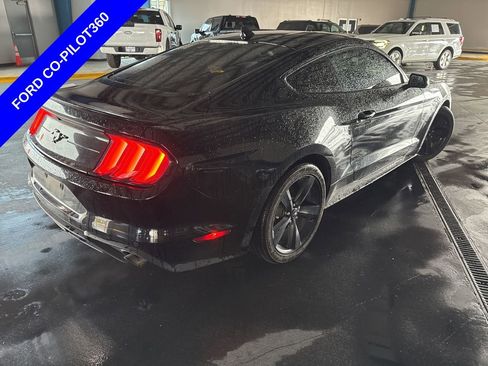 Used 2022 Ford Mustang Coupe w/ Equipment Group 101A image 10