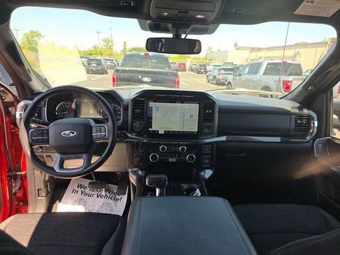 Used 2023 Ford F150 XLT w/ Equipment Group 302A High AWD/4WD image 13