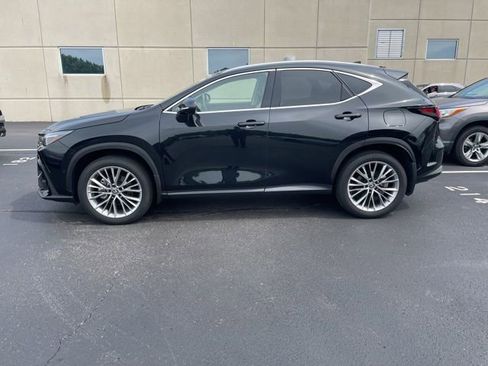 Used 2025 Lexus NX 350 AWD w/ Cold Area Package image 3
