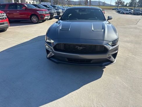 Used 2022 Ford Mustang Coupe w/ Equipment Group 101A image 4