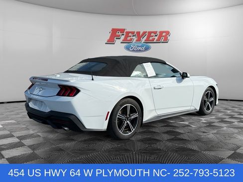 Used 2025 Ford Mustang Premium RWD image 5